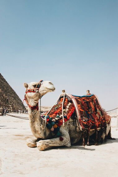 Middle East country-thumbnail