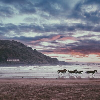 Top 6 places to visit in Gokarna recent-post-thumbnail