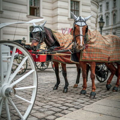 The Best of Vienna - Top 12 Places recent-post-thumbnail